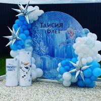 Фотозона Frozen Party
