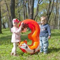 Шар цифра 3 лиса