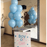 Коробка-сюрприз Boy or Girl