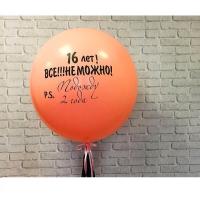 Большой латексный шар Все НЕможно