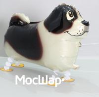 Ходячий минишар Собака
