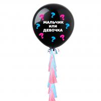 Шар-сюрприз Мальчик или Девочка с кисточками